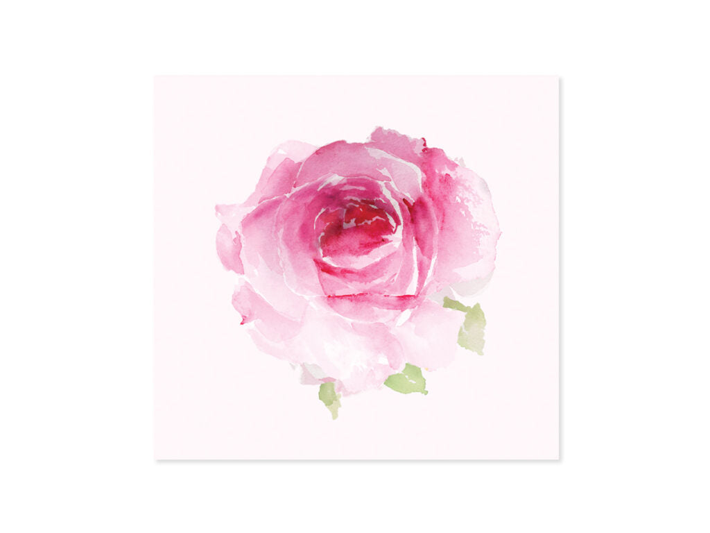 Pink Roses ( 1399 )