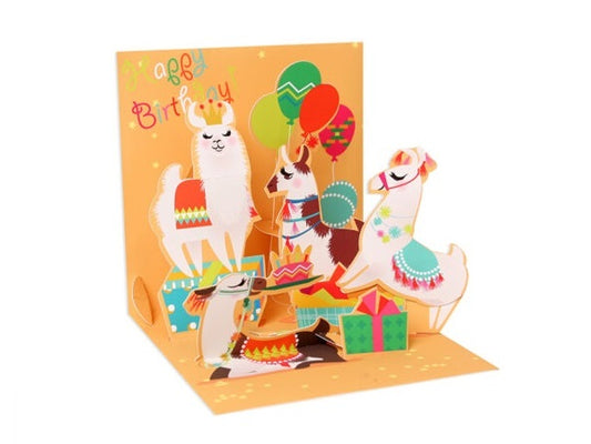 LLAMA BIRTHDAY (1219 )