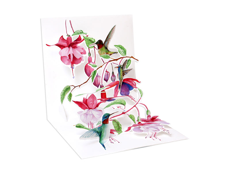 HUMMINGBIRDS ( 1216 )