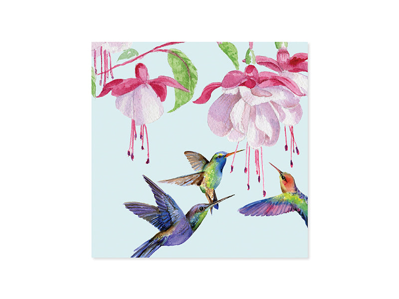 HUMMINGBIRDS ( 1216 )