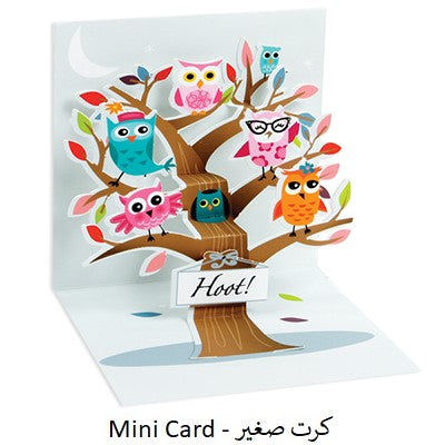 LITTLE OWLS ( TR208 )