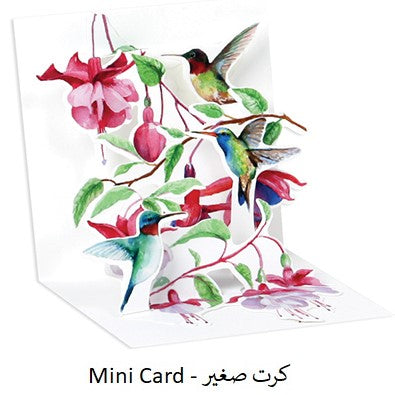 HUMMINGBIRD ( TR291 )