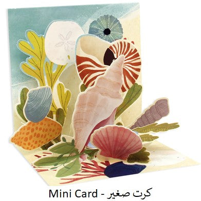 OCEAN SHELLS ( TR324 )