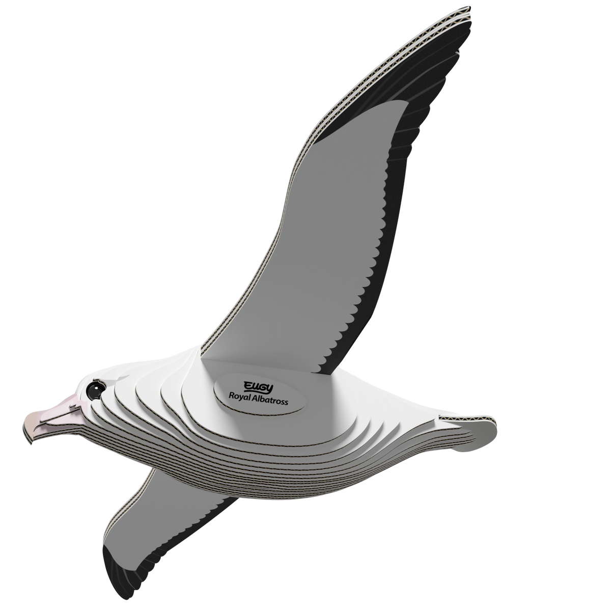 3D Royal Albatross ( 097 )