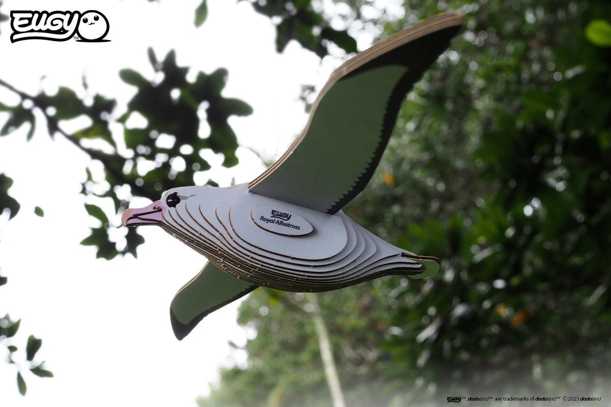 3D Royal Albatross ( 097 )