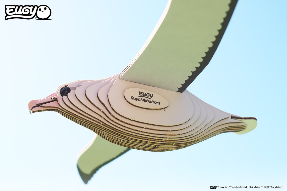 3D Royal Albatross ( 097 )