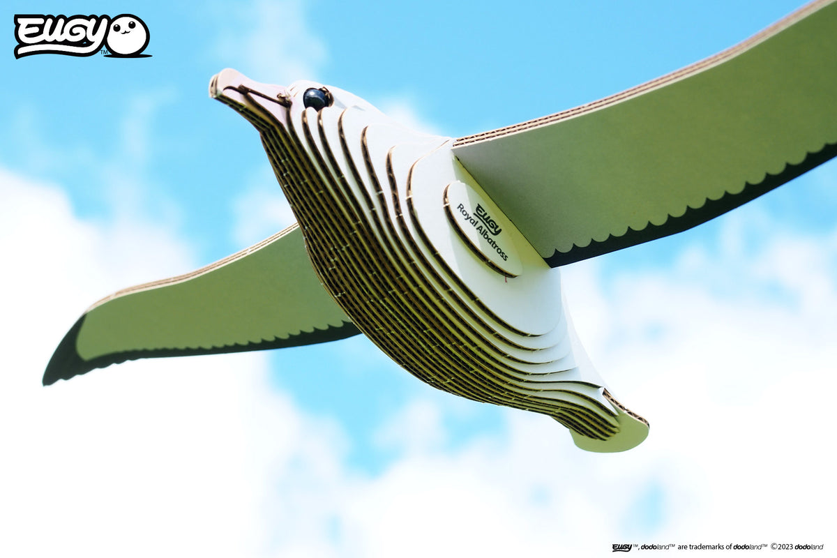 3D Royal Albatross ( 097 )