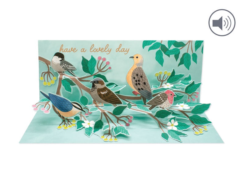 Garden Birds ( A413AUD )