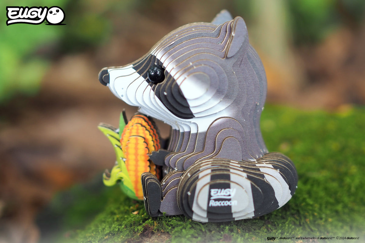 3D Raccoon ( 103 )