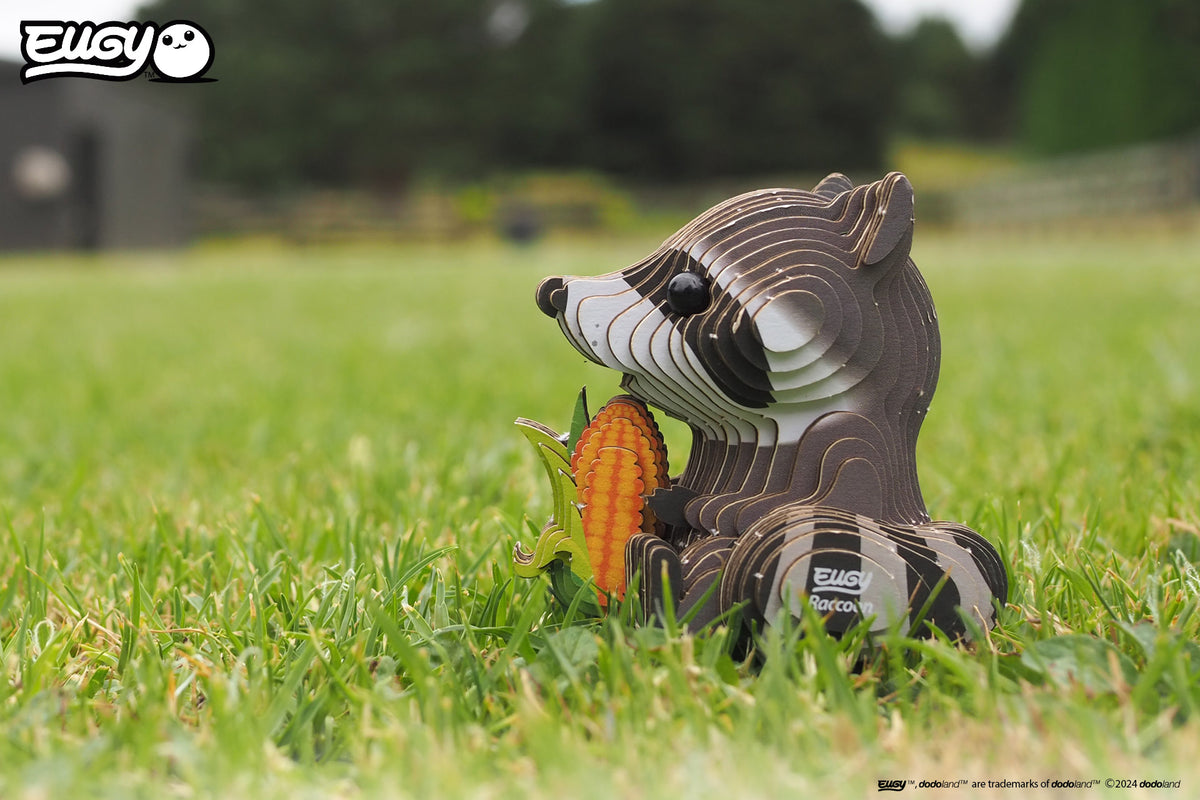 3D Raccoon ( 103 )