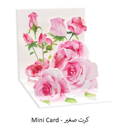 PINK ROSES ( TR329 )