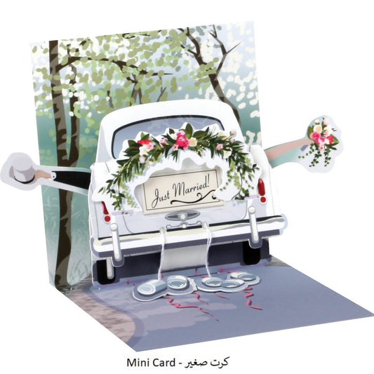 WEDDING CAR ( TR290 )